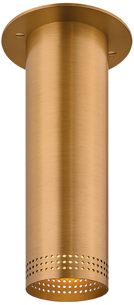 Image 2 Troy Lighting Berg Flush Mount