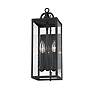 2_Troy Lighting Caiden 17" High 2-Light Lantern Outdoor Wall Light more views