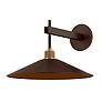 2_Troy Lighting Harac  Exterior Wall Sconce 15" in Patina Brass and Bronze more views