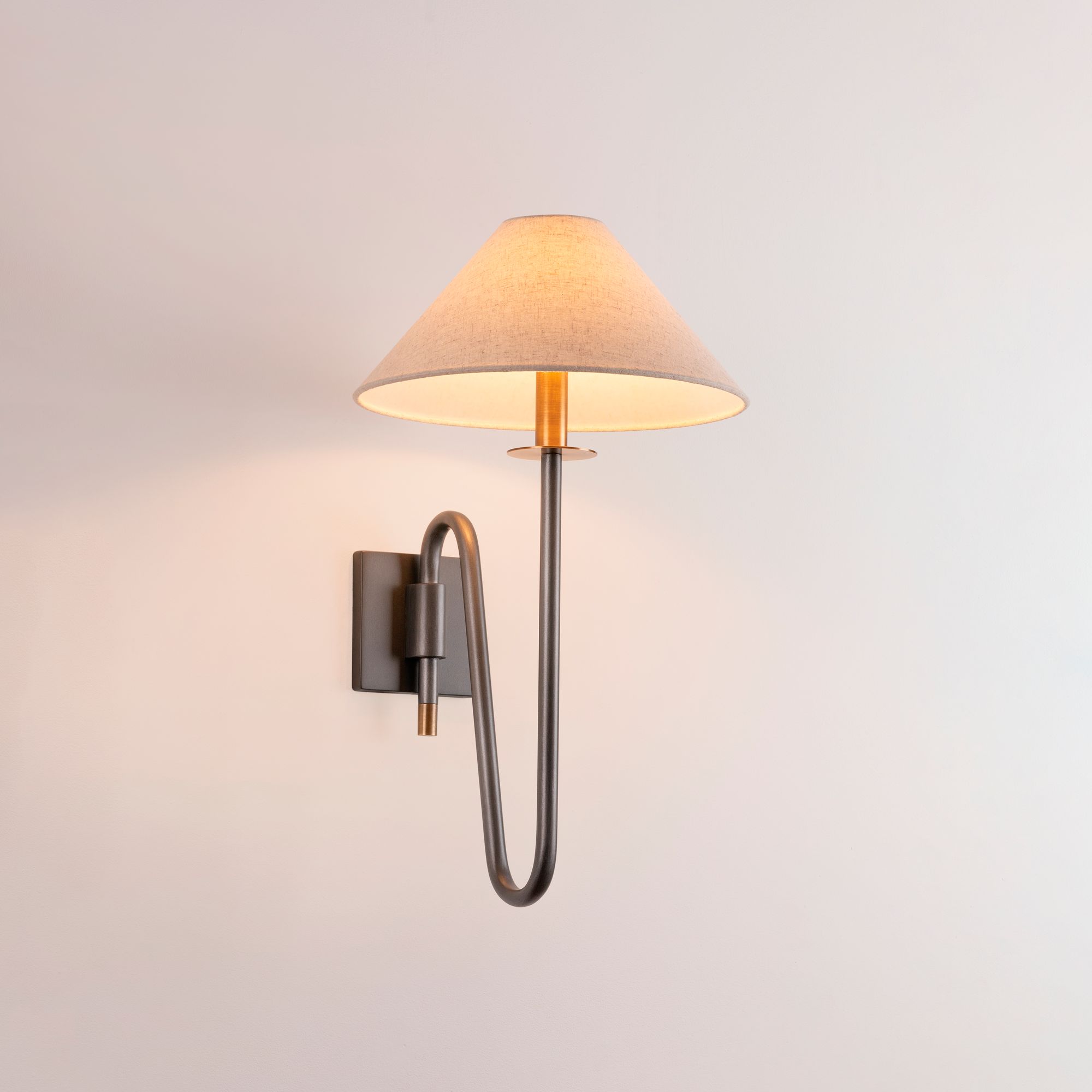 Troy Lighting Mateo Wall Sconce 12" in Patina Brass And Graphite