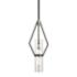Troy Lighting Raef 24.25 in. Textured Black & Polish Nickel Pendant