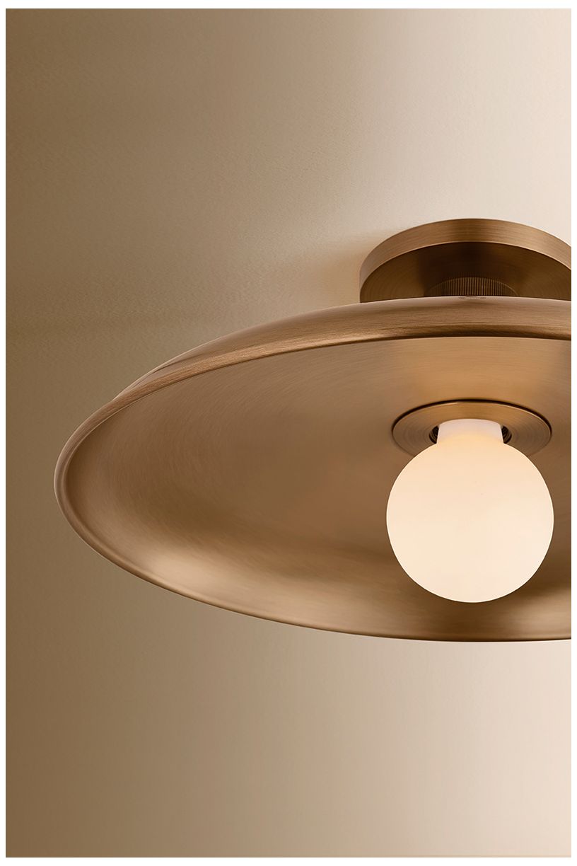 Image 5 Troy Lighting Rainhill Semi Flush more views
