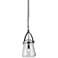 Troy Lighting Silverlake 8" Wide French Iron Mini Pendant