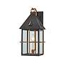 Troy Lighting Toby  Exterior Wall Sconce 8" in Patina Brass And Graphi