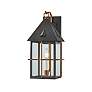 Troy Lighting Toby  Exterior Wall Sconce 8" in Patina Brass And Graphi