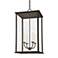 Troy Lighting Zuma 27" High French Iron Outdoor Hanging Light