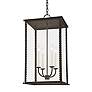 2_Troy Lighting Zuma 27" High French Iron Outdoor Hanging Light more views