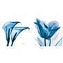 Tulip and Lilies 48" Wide 2-Piece Glass Wall Art Set in scene