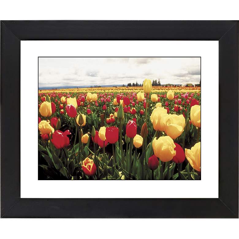 Image 1 Tulip Field Black Frame Giclee 23 1/4 inch Wide Wall Art