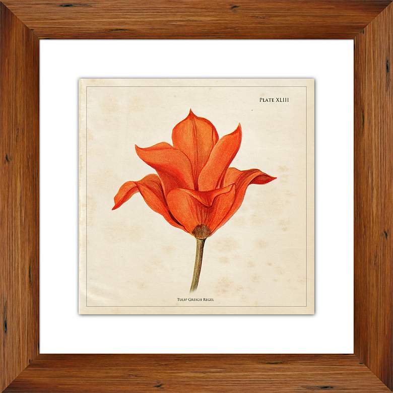 Image 1 Tulip II 19 1/2 inch Framed Giclee Wall Art