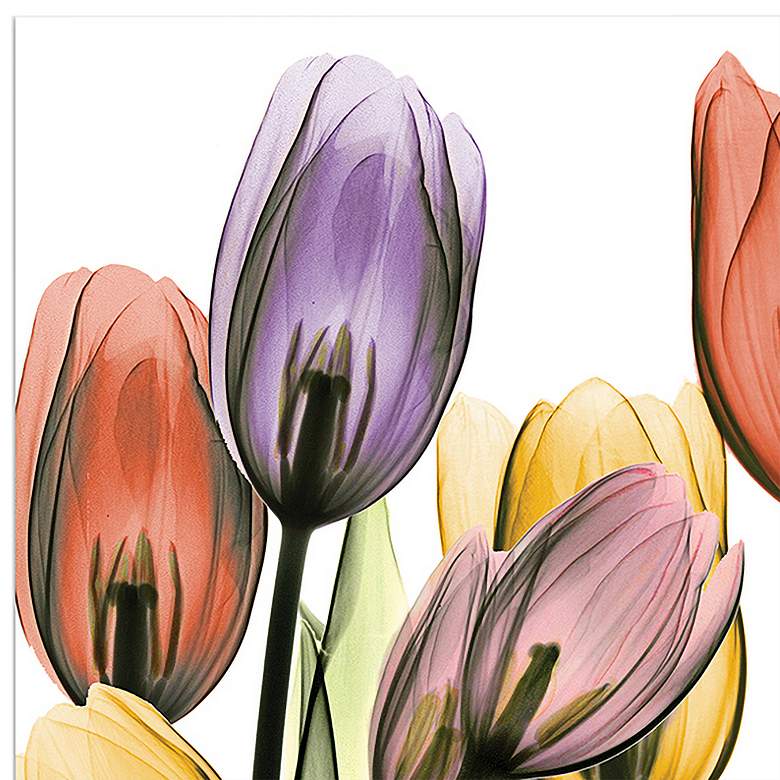 Image 3 Tulip Scape 48" Wide 2-Piece Tempered Glass Wall Art Set more views
