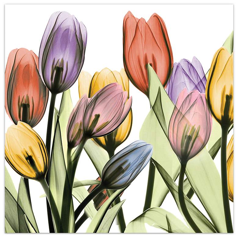Image 4 Tulip Scape 48" Wide 2-Piece Tempered Glass Wall Art Set more views