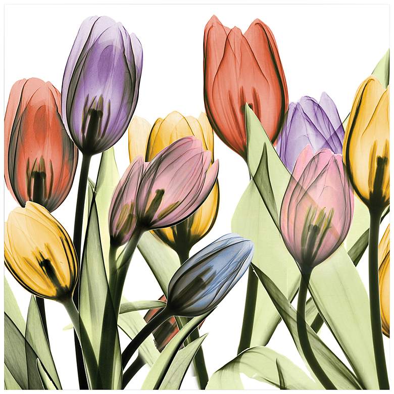 Image 2 Tulip Scape x-ray I 24" Square Printed Glass Wall Art