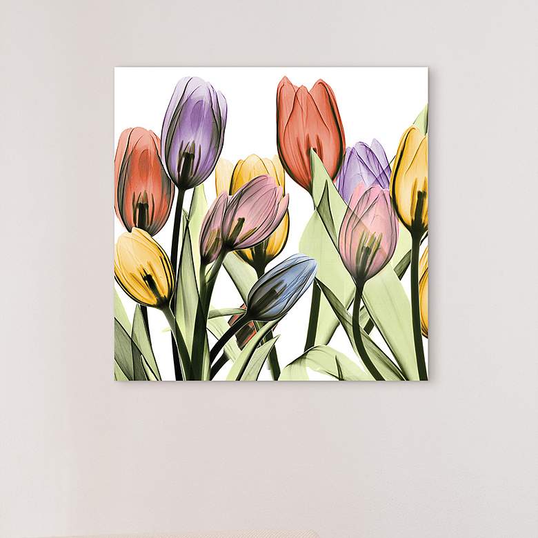 Image 1 Tulip Scape x-ray I 24" Square Printed Glass Wall Art