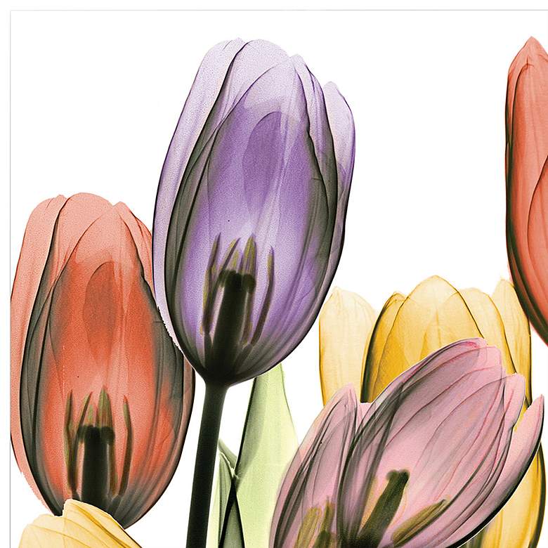Image 3 Tulip Scape x-ray I 24" Square Printed Glass Wall Art more views