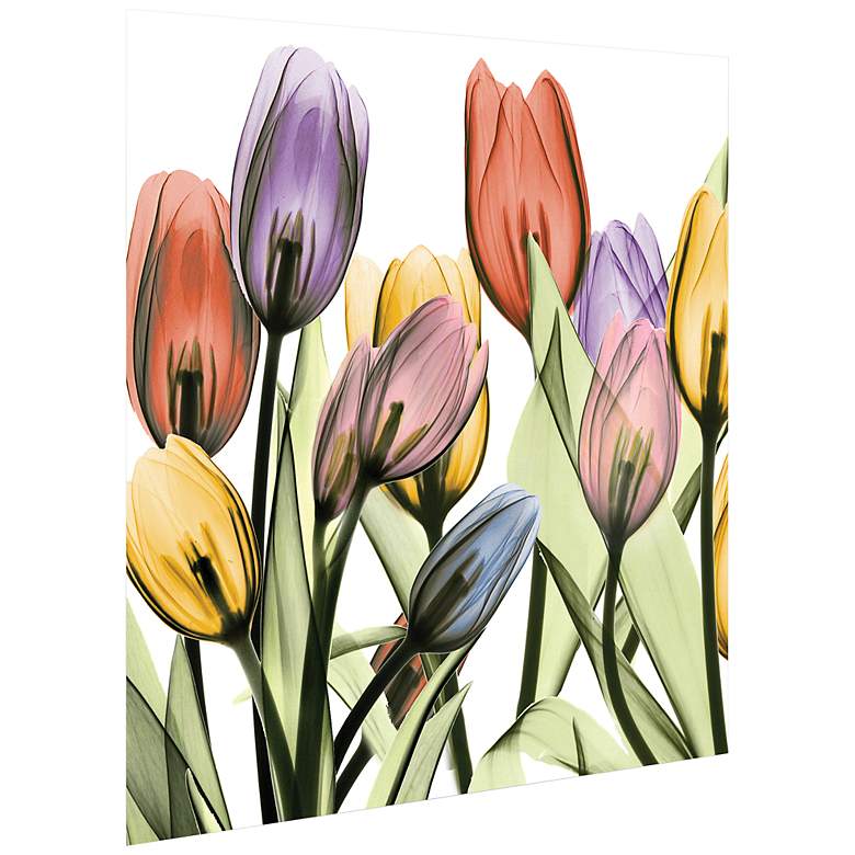 Image 4 Tulip Scape x-ray I 24" Square Printed Glass Wall Art more views