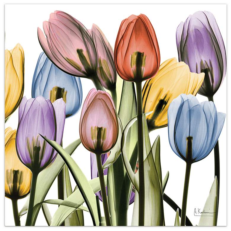 Image 1 Tulip Scape x-ray II" Frameless Tempered Glass Panel Graphic Wall Art