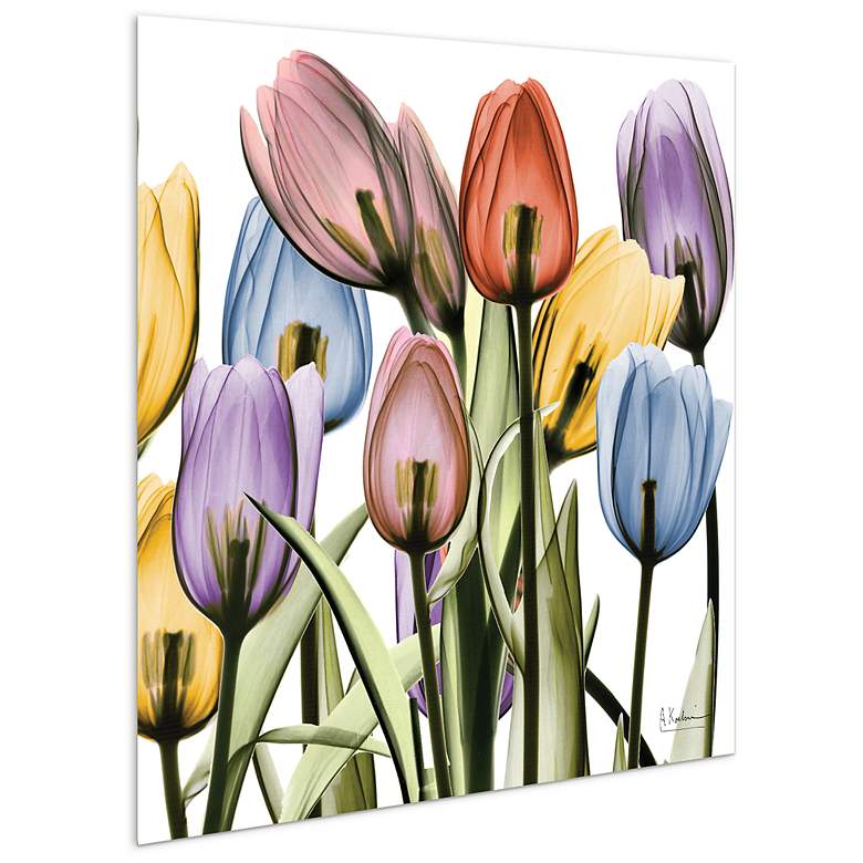 Image 2 Tulip Scape x-ray II" Frameless Tempered Glass Panel Graphic Wall Art more views
