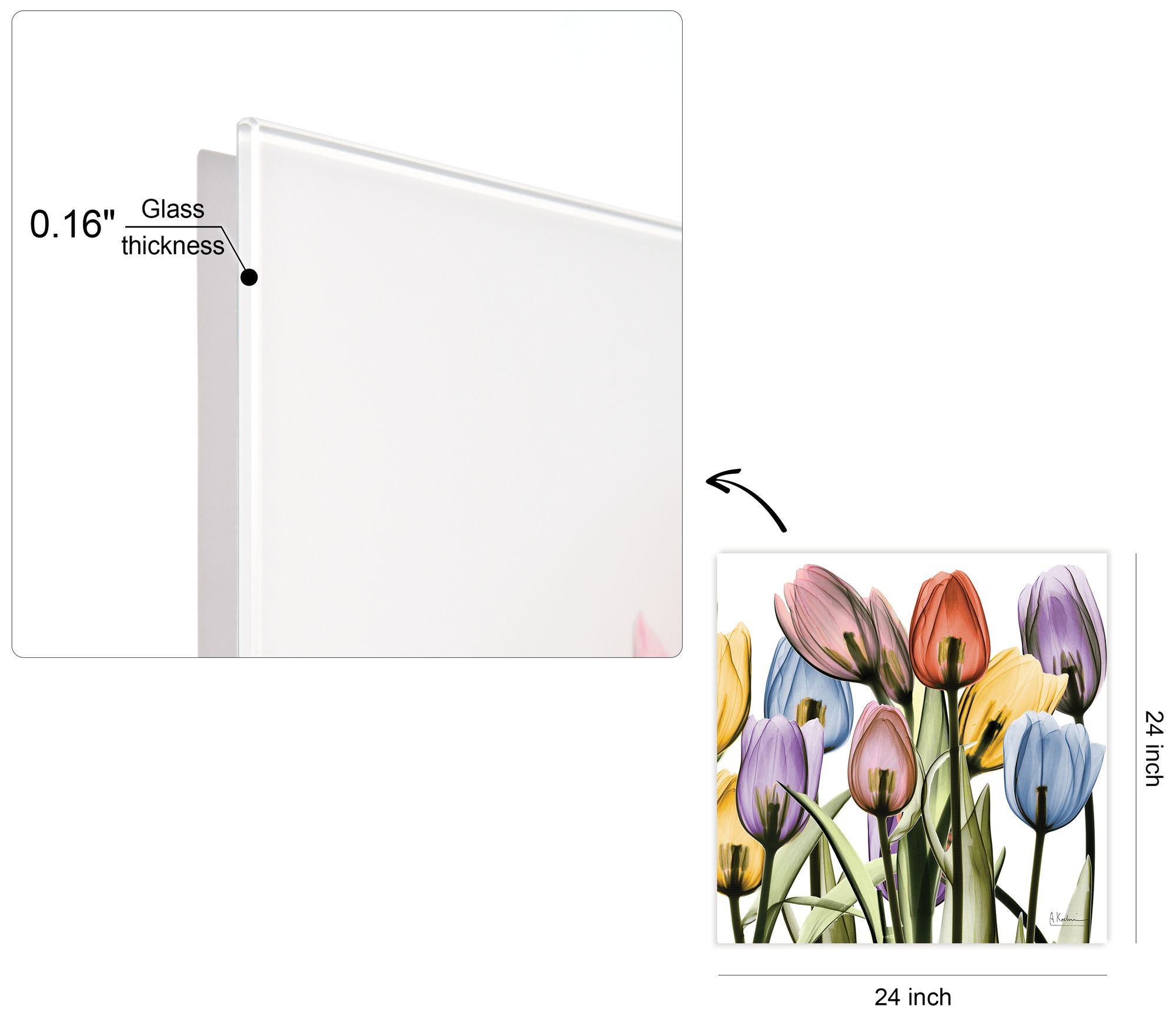 Image 3 Tulip Scape x-ray II" Frameless Tempered Glass Panel Graphic Wall Art more views