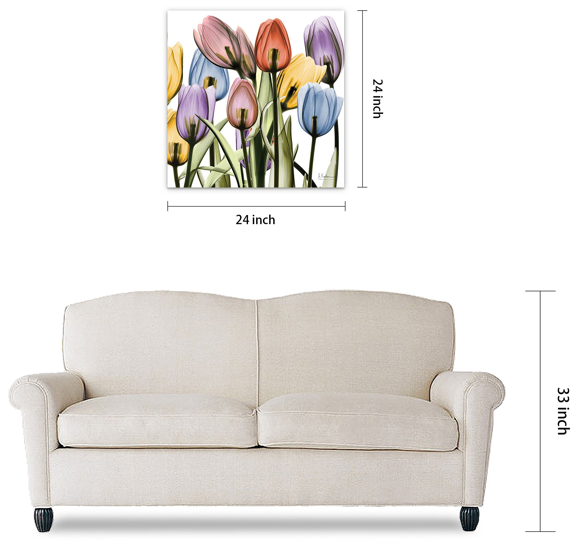 Tulip Scape x-ray II" Frameless Tempered Glass Panel Graphic Wall Art