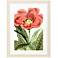 Tulipa Greigii 31"W x 41"H Framed Art