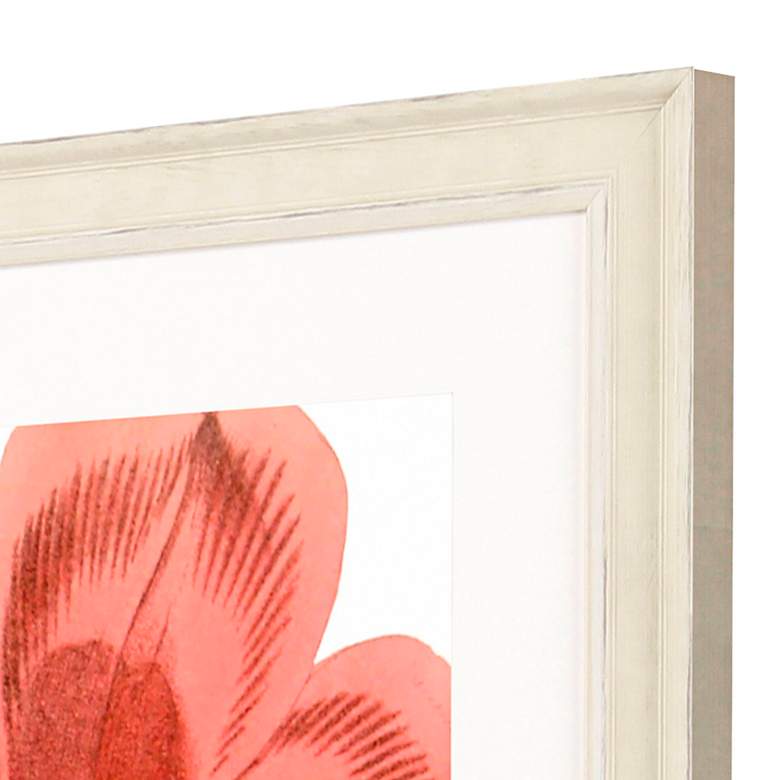 Image 4 Tulipa Greigii 31"W x 41"H Framed Art more views