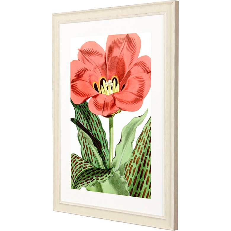 Image 5 Tulipa Greigii 31"W x 41"H Framed Art more views