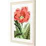 5_Tulipa Greigii 31"W x 41"H Framed Art more views