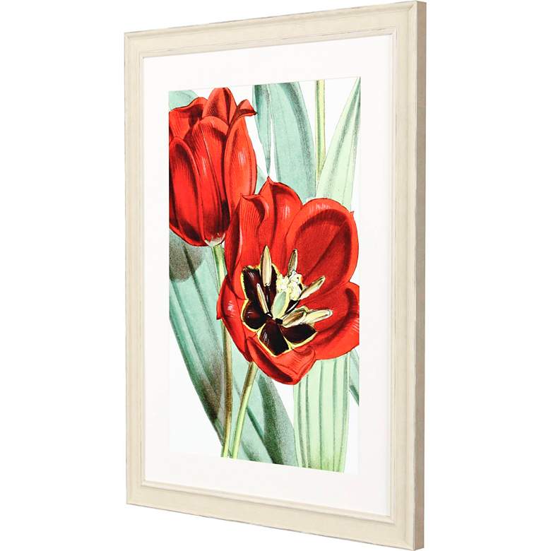 Image 5 Tulipa Undulatifolia 31"W x 41"H Framed Art more views
