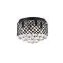 7_Tully 13 1/2" Wide Matte Black and Crystal Ceiling Light more views