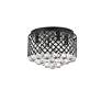Tully 13 1/2" Wide Matte Black and Crystal Ceiling Light