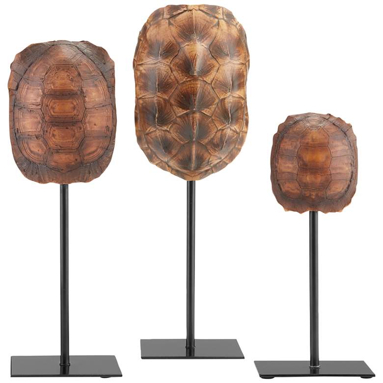 Image 1 Turtle Shells Brown 13 1/4 inch High Statues Set of 3