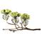 Twig 24" Wide Cast Brass Holder with 3-Clear Glass Bud Vases