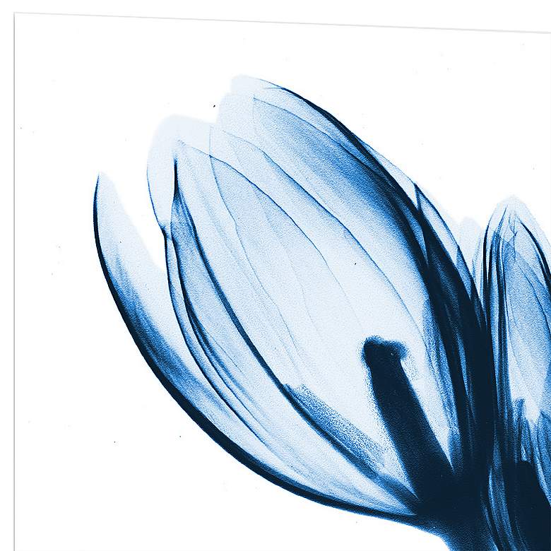 Image 4 Two Blue Tulips 48" High Tempered Glass Graphic Wall Art more views
