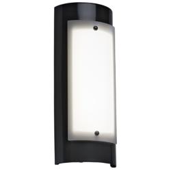 UltraLights Luz Azul 16" High Black Pearl Outdoor Wall Light
