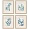 Underwater Botany 23"W x 27"H Framed Wall Art Set of 4