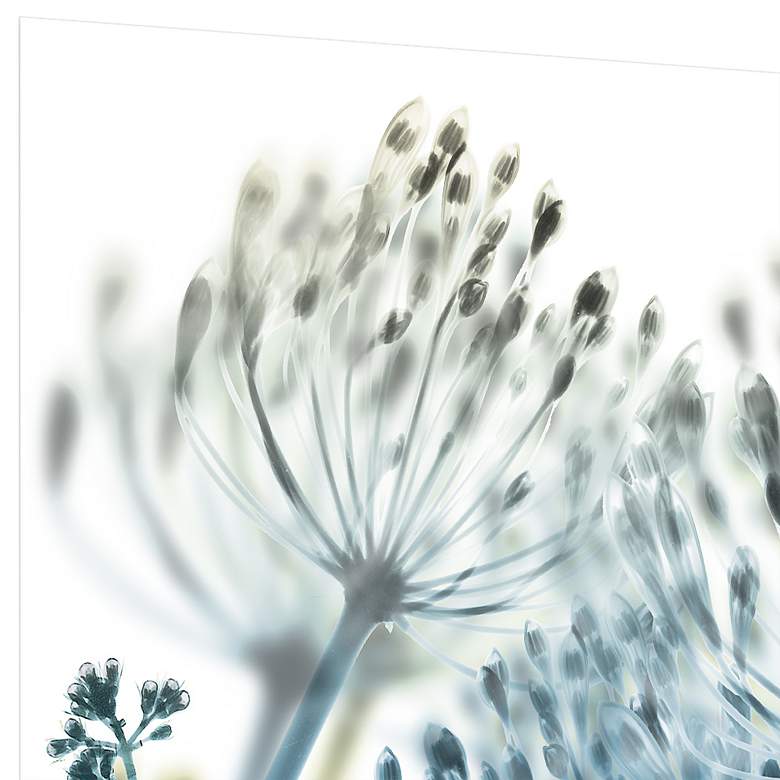 Image 4 Unfocused Beauty II 24" Square Glass Graphic Wall Art more views