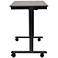Upas Black Small Electric Standing Desk