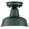 Urban Barn 10 1/4" Wide Green Outdoor Ceiling Light