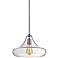 Urban Contemporary 13 1/4" Wide Clear Glass Pendant Light