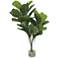 Urbana Green Fiddle Leaf Fig 36" High Faux Branches in Vase