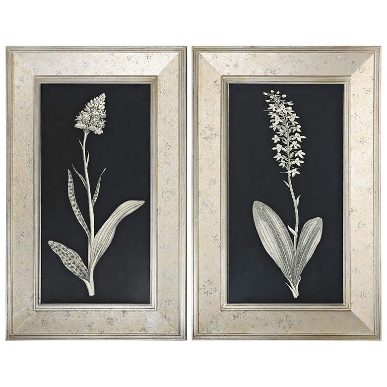 Image 1 Uttermost 2-Piece Antique Floral Study 40 inch High Wall Art