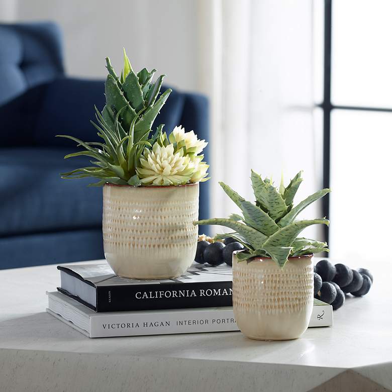 Image 1 Uttermost 2-Piece Seaside Succulents