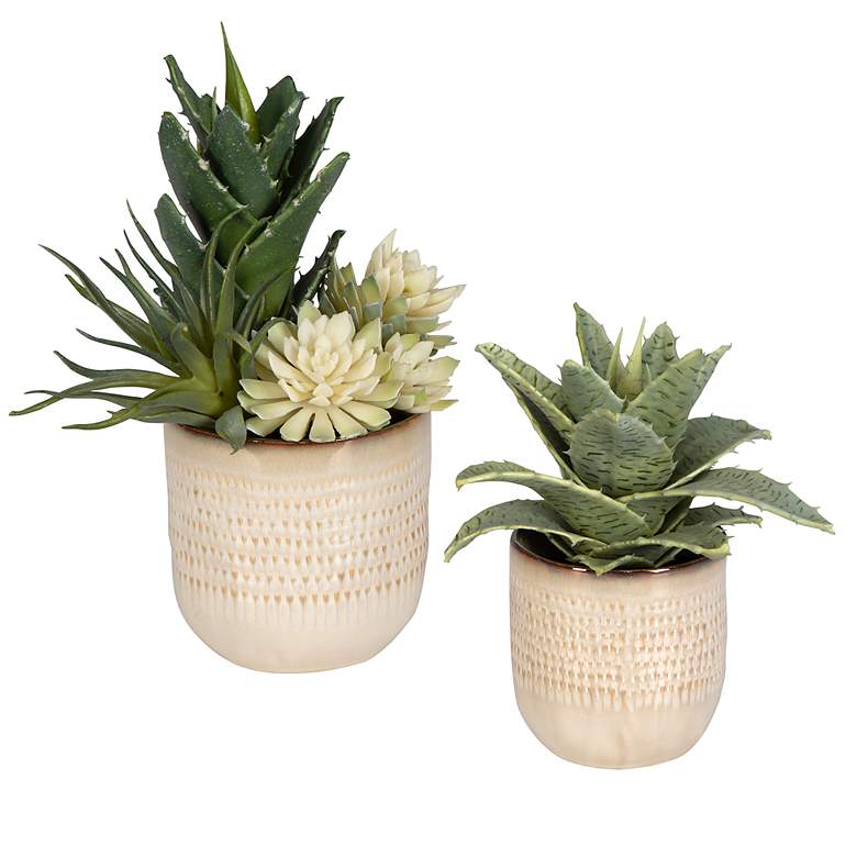 Image 3 Uttermost 2-Piece Seaside Succulents more views