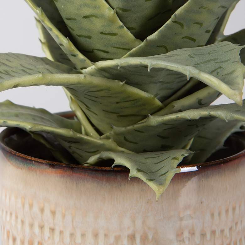 Image 4 Uttermost 2-Piece Seaside Succulents more views