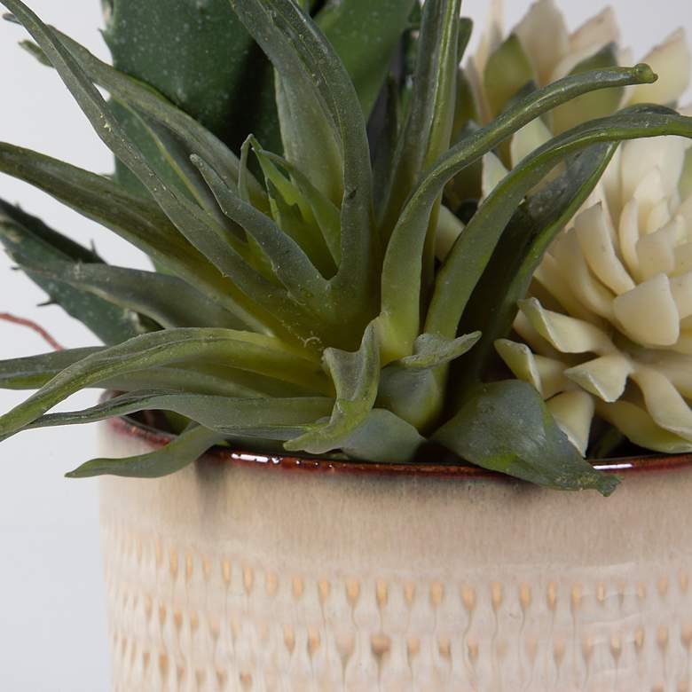 Image 5 Uttermost 2-Piece Seaside Succulents more views