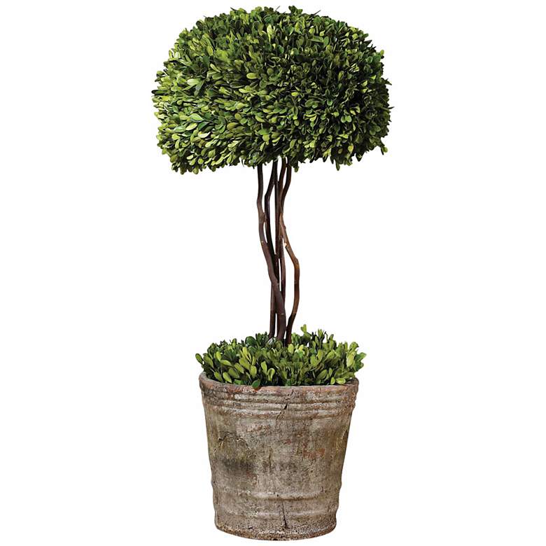Image 1 Uttermost 33 inch High Preserved Boxwood Tree Topiary