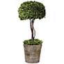Uttermost 33" High Preserved Boxwood Tree Topiary