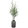Uttermost Aldis River Birch 72" High Faux Plant in Urn