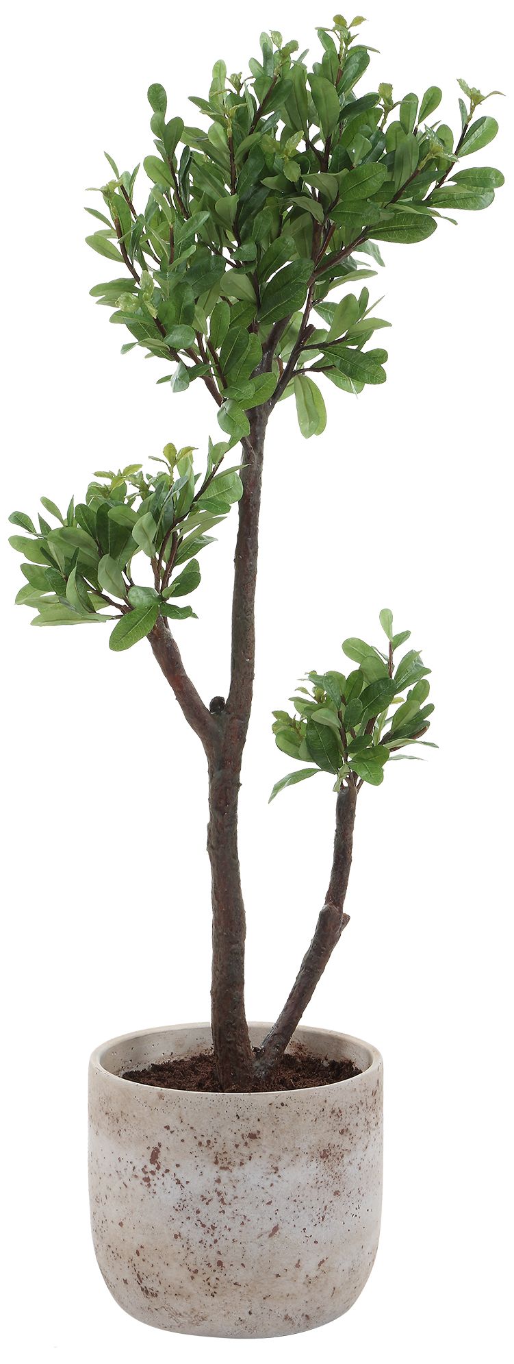 Uttermost Arbor 43" High Artificial Strawberry Tree